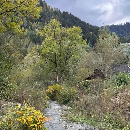 Welkome * Krivorovnya