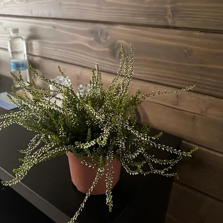 מלון Welkome Krivorovnya