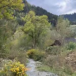 Welkome * Krivorovnya