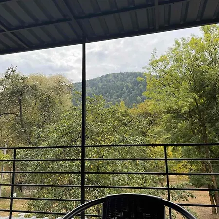 Welkome Otel Krivorovnya