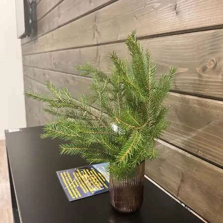 Welkome * Krivorovnya